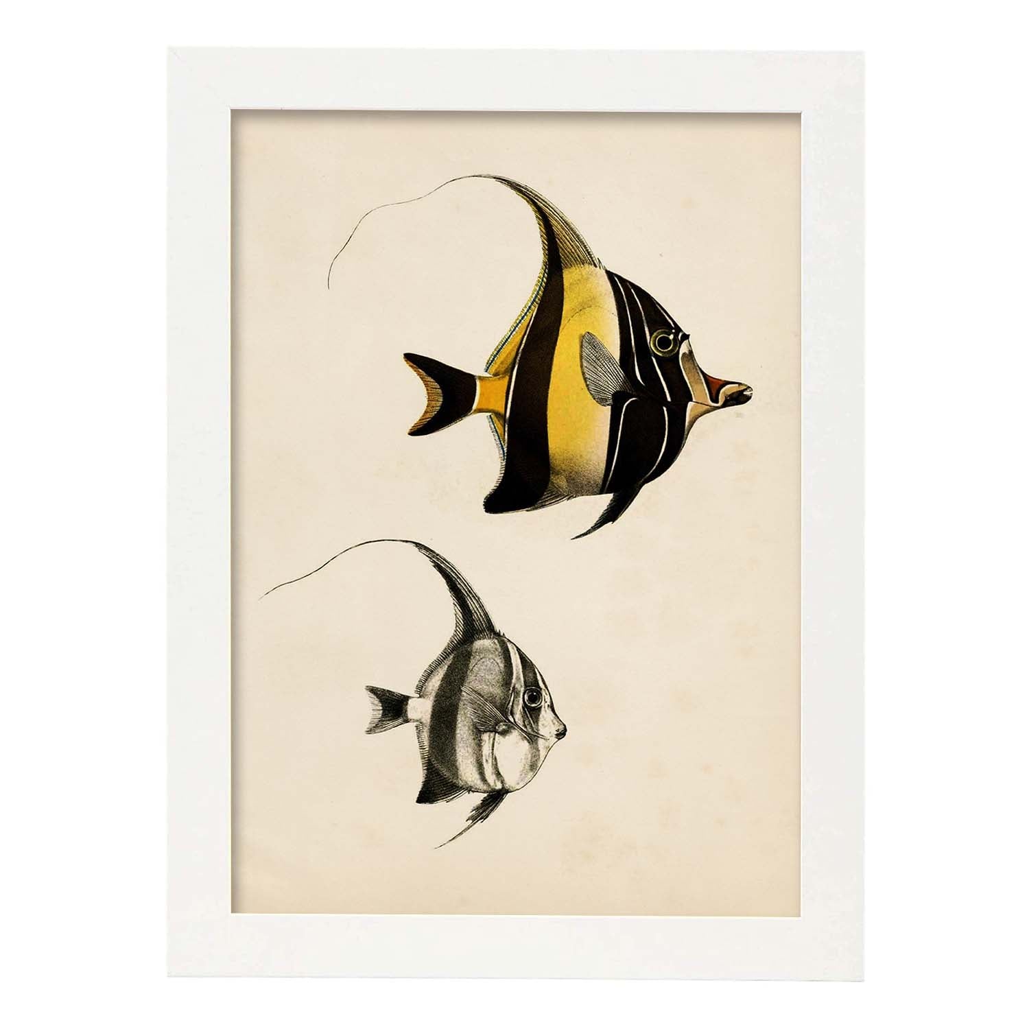 Nacnic Lámina Vintage De Peces Amarillo Y Negro