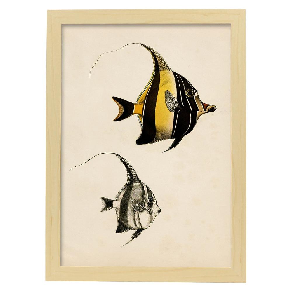 Nacnic Lámina Vintage De Peces Amarillo Y Negro