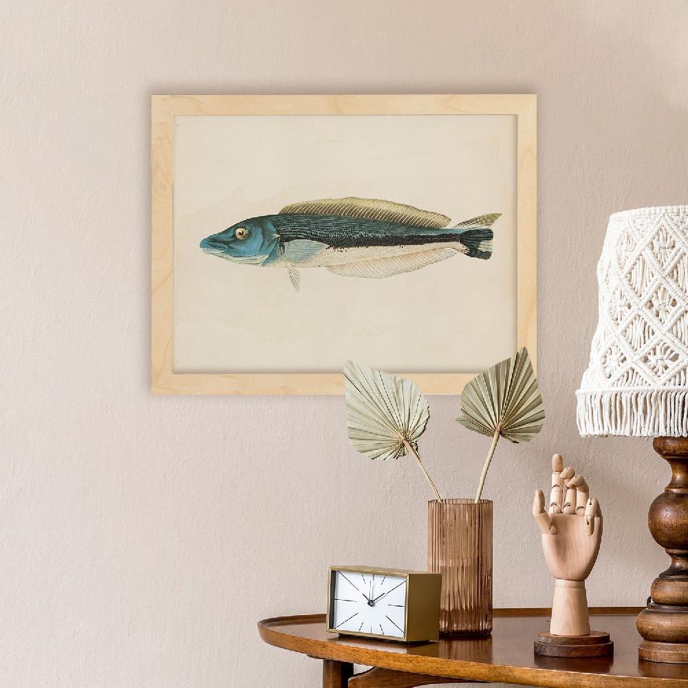 nacnic Lámina Vintage de Pez Azul Gris y Blanco