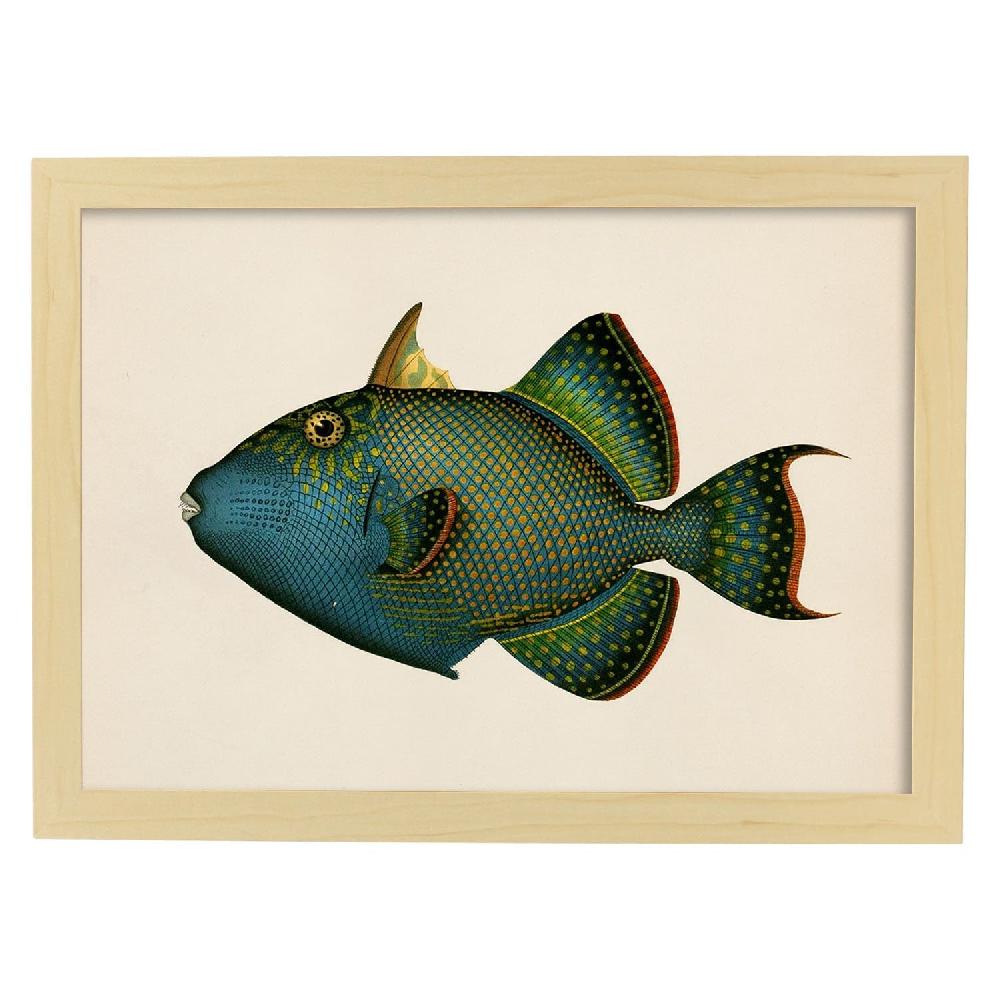 Nacnic Lámina Vintage De Pez Azul Verde Y Amarillo
