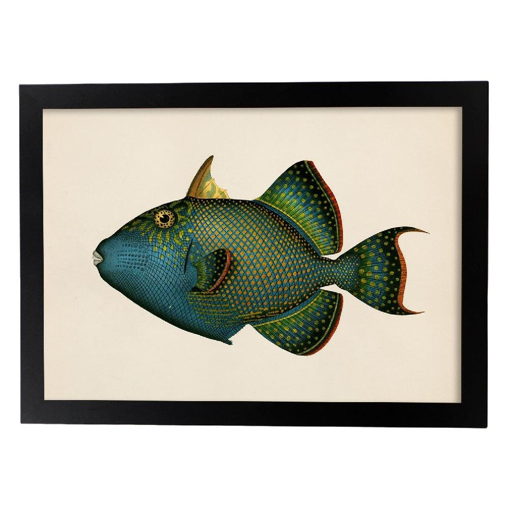 Nacnic Lámina Vintage De Pez Azul Verde Y Amarillo