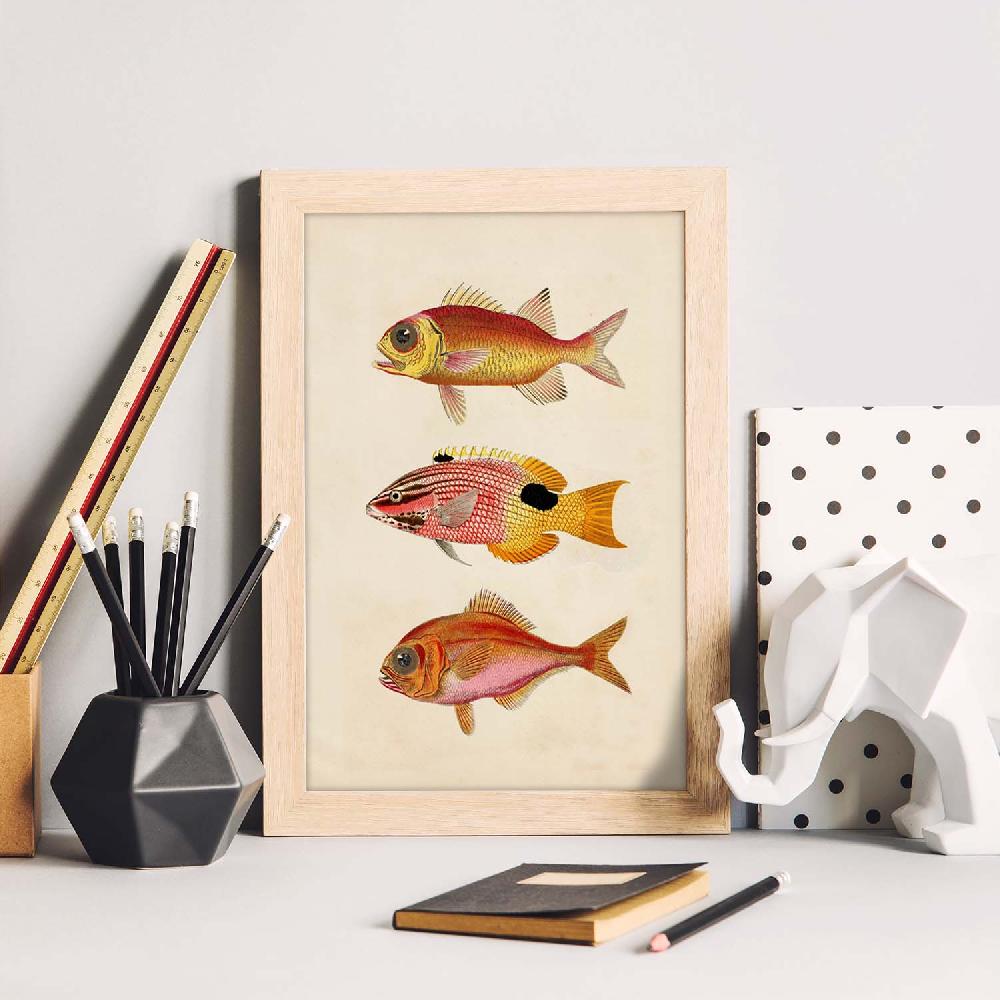 Nacnic Lámina Vintage De Tres Peces Coloridos