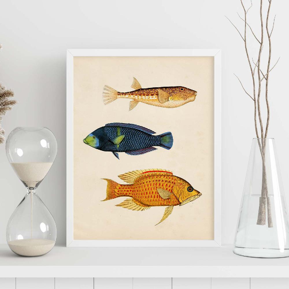 Nacnic Lámina Vintage De Tres Peces Multicolor