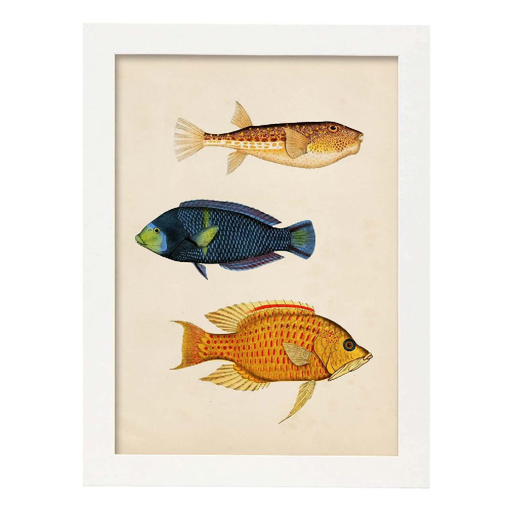 Nacnic Lámina Vintage De Tres Peces Multicolor