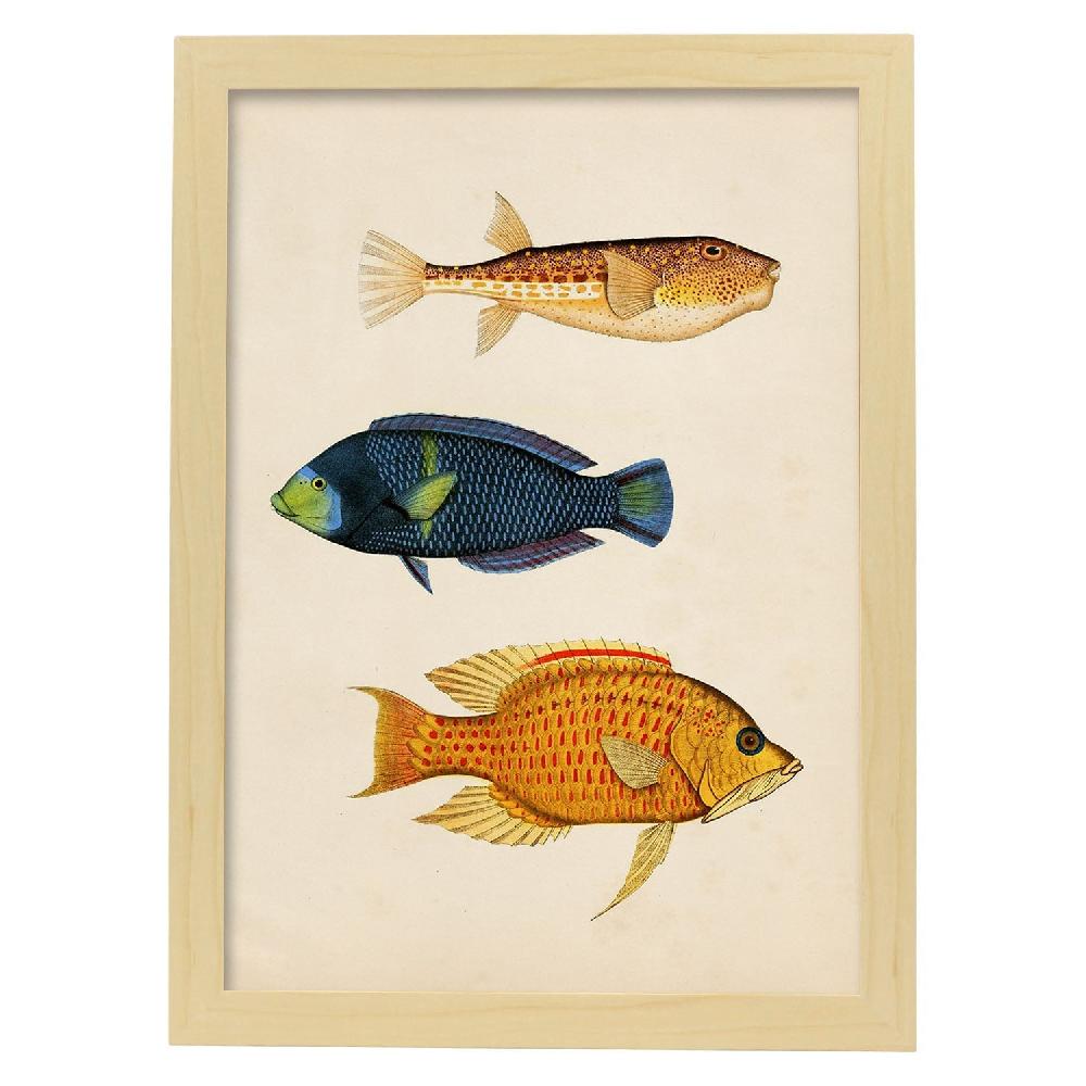 Nacnic Lámina Vintage De Tres Peces Multicolor