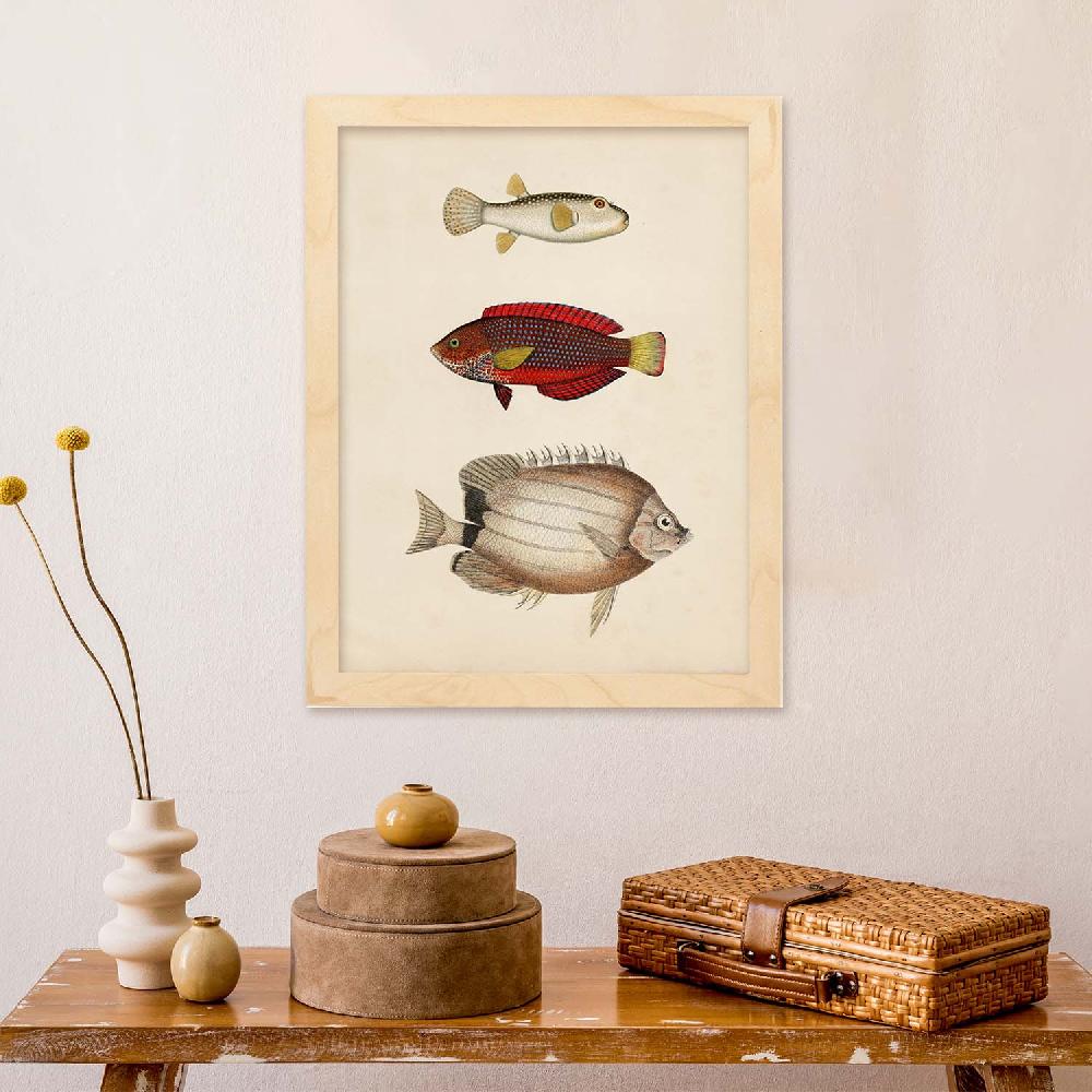 Nacnic Lámina Vintage De Tres Peces Multicolor
