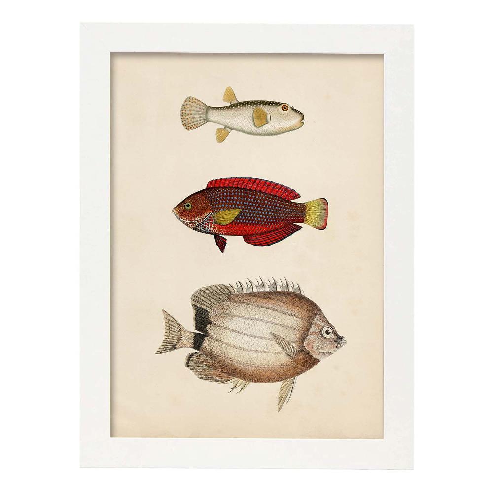Nacnic Lámina Vintage De Tres Peces Multicolor