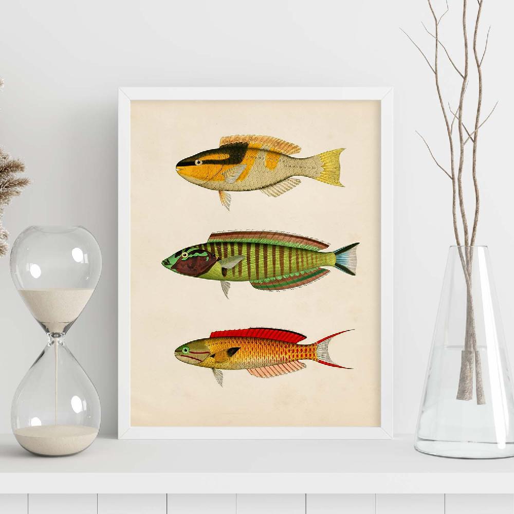 Nacnic Lámina Vintage De Tres Peces Multicolor