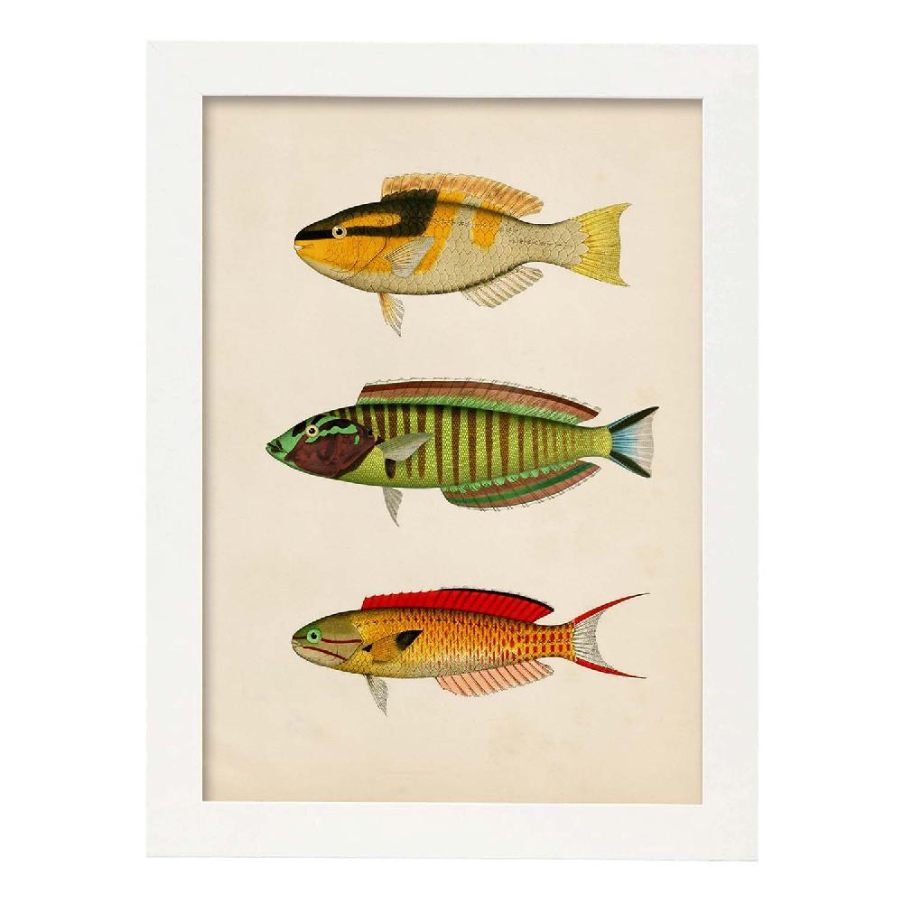 Nacnic Lámina Vintage De Tres Peces Multicolor