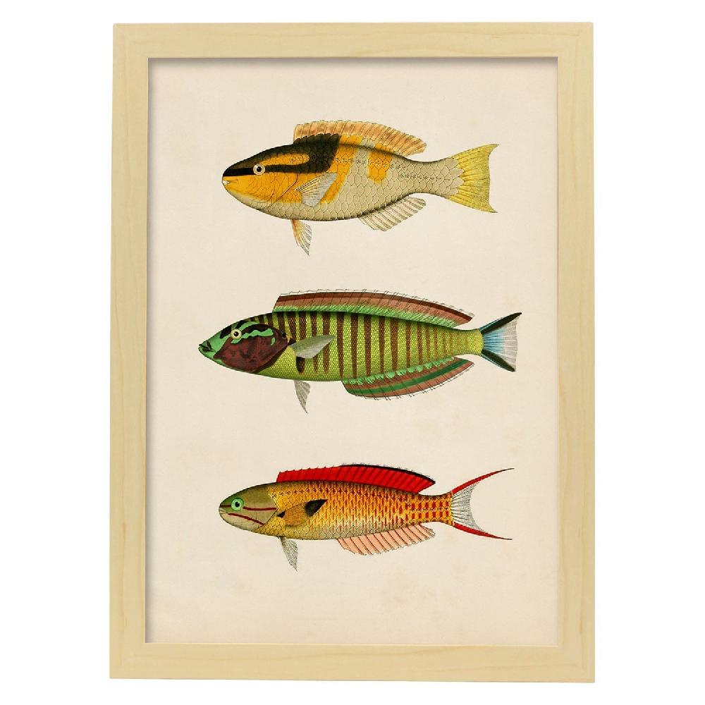Nacnic Lámina Vintage De Tres Peces Multicolor