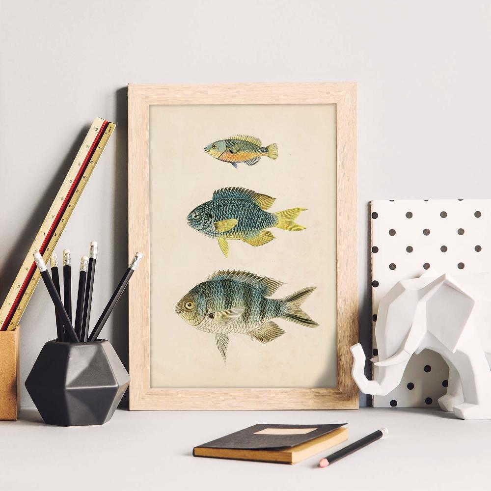Nacnic Lámina Vintage De Tres Peces Multicolor