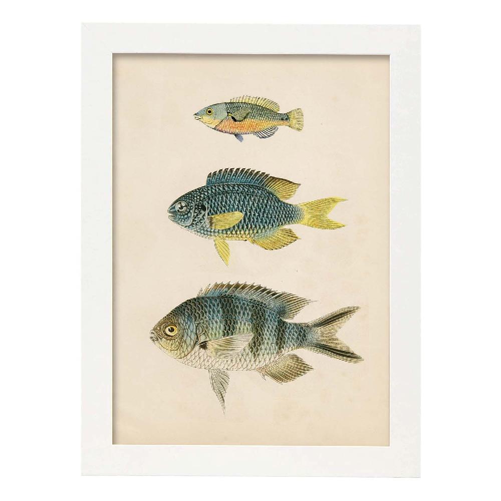 Nacnic Lámina Vintage De Tres Peces Multicolor