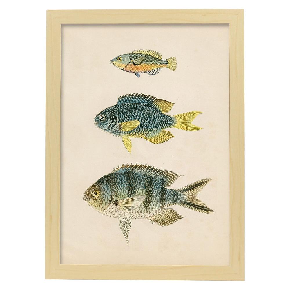 Nacnic Lámina Vintage De Tres Peces Multicolor