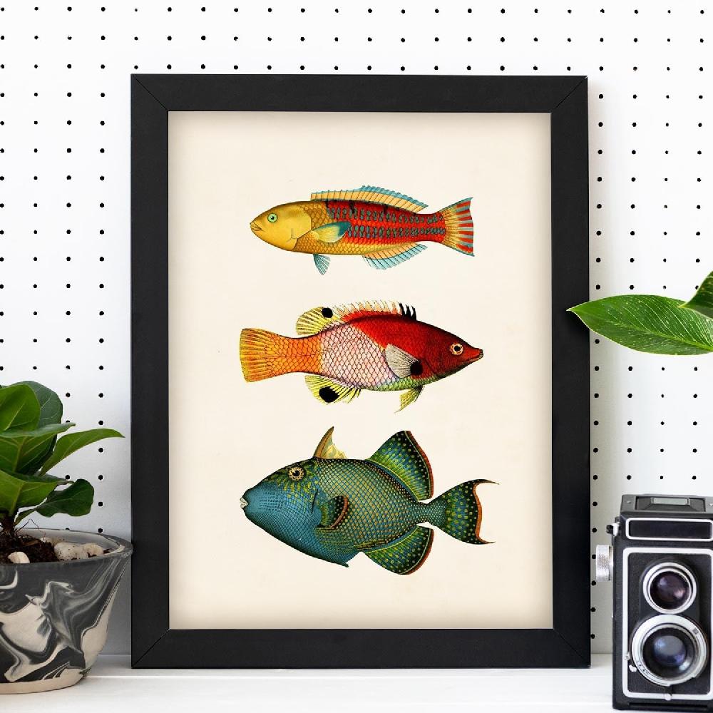 Nacnic Lámina Vintage De Tres Peces Multicolor