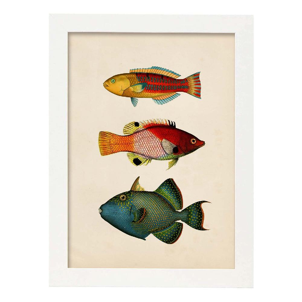 Nacnic Lámina Vintage De Tres Peces Multicolor