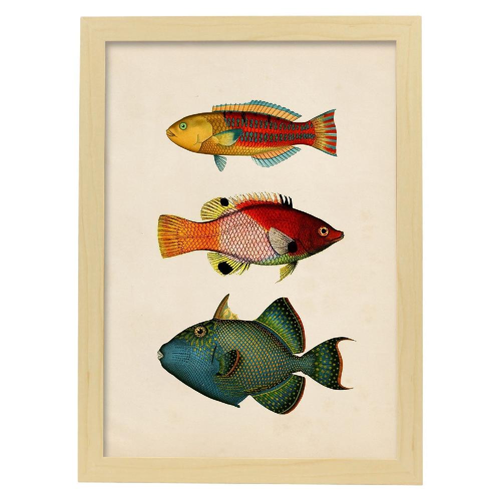 Nacnic Lámina Vintage De Tres Peces Multicolor