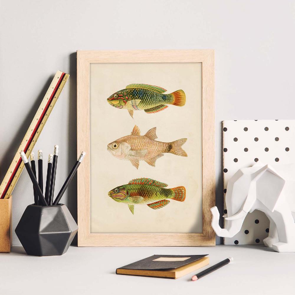 Nacnic Lámina Vintage De Tres Peces Verdes Marrón