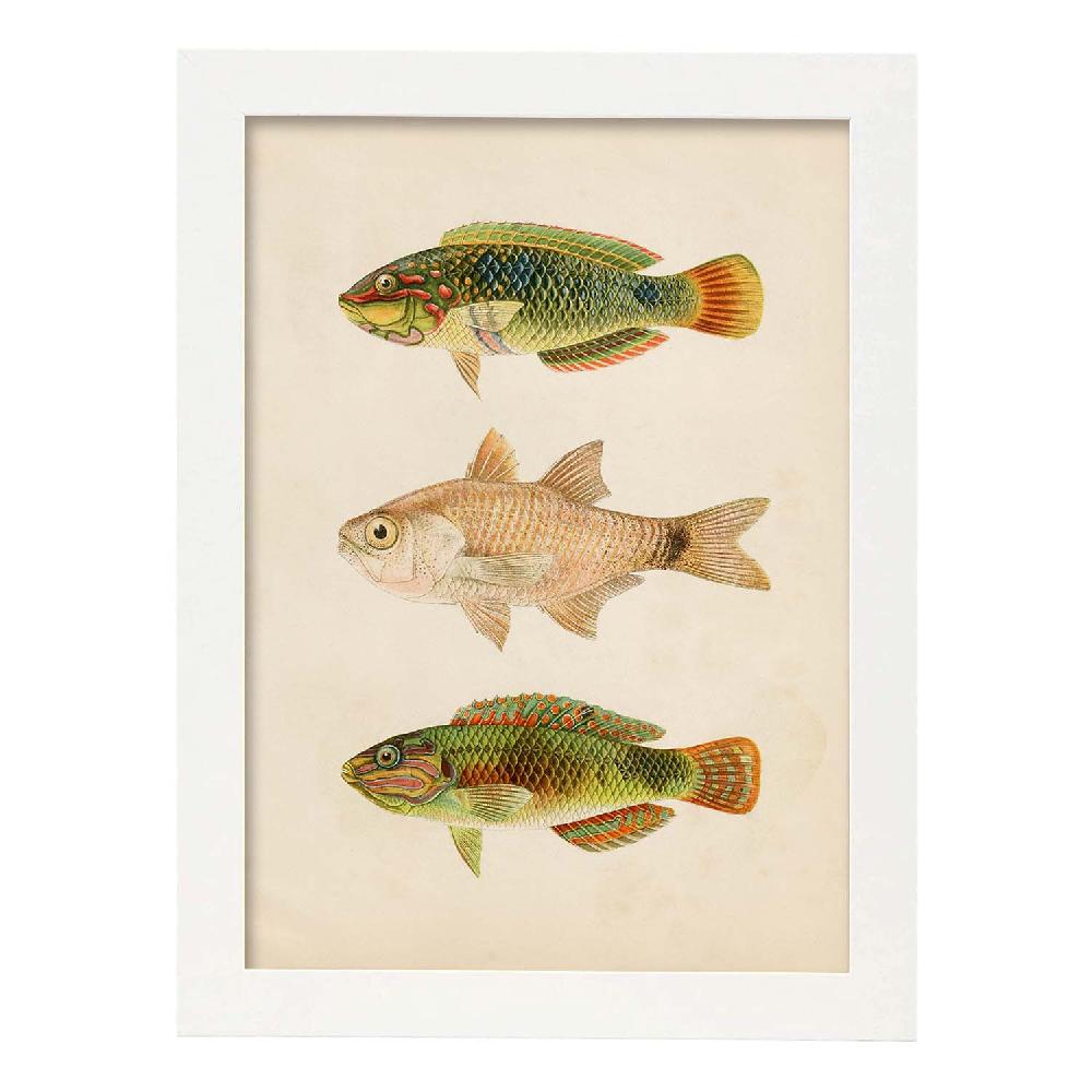 Nacnic Lámina Vintage De Tres Peces Verdes Marrón