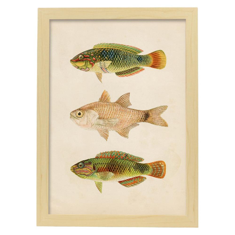 Nacnic Lámina Vintage De Tres Peces Verdes Marrón