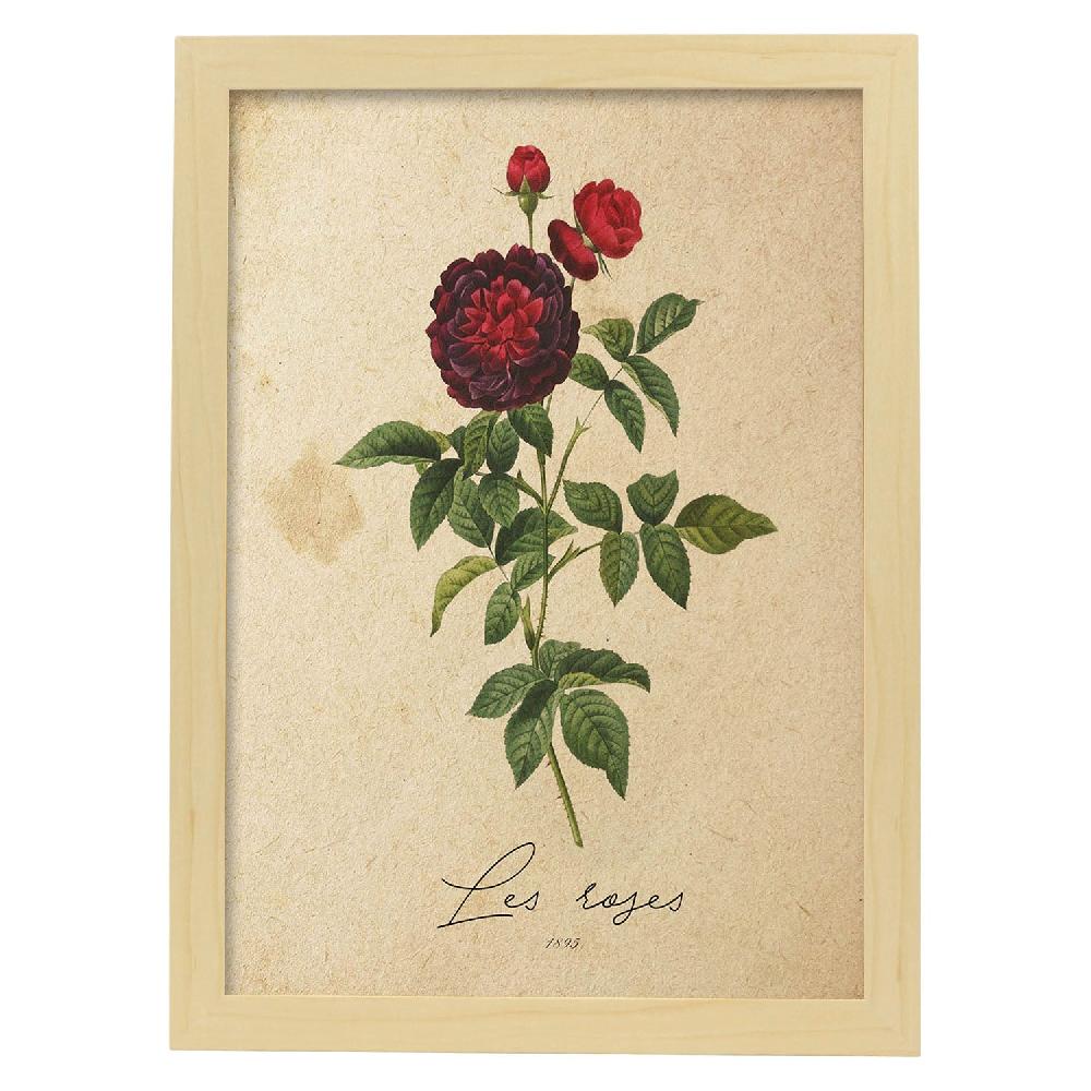 Nacnic Lámina Vintage Les Roses 2