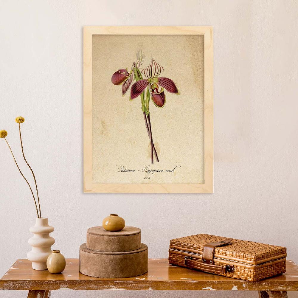Nacnic Lámina Vintage Orchidaceae Amarilla 2