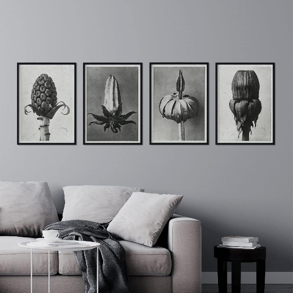 Nacnic Láminas Brotes En Tonos Grises