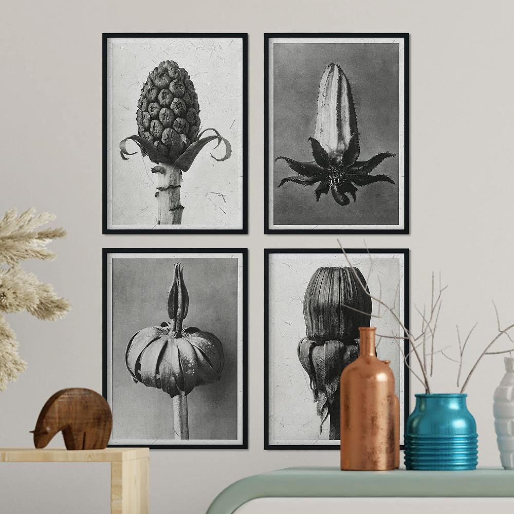 Nacnic Láminas Brotes En Tonos Grises