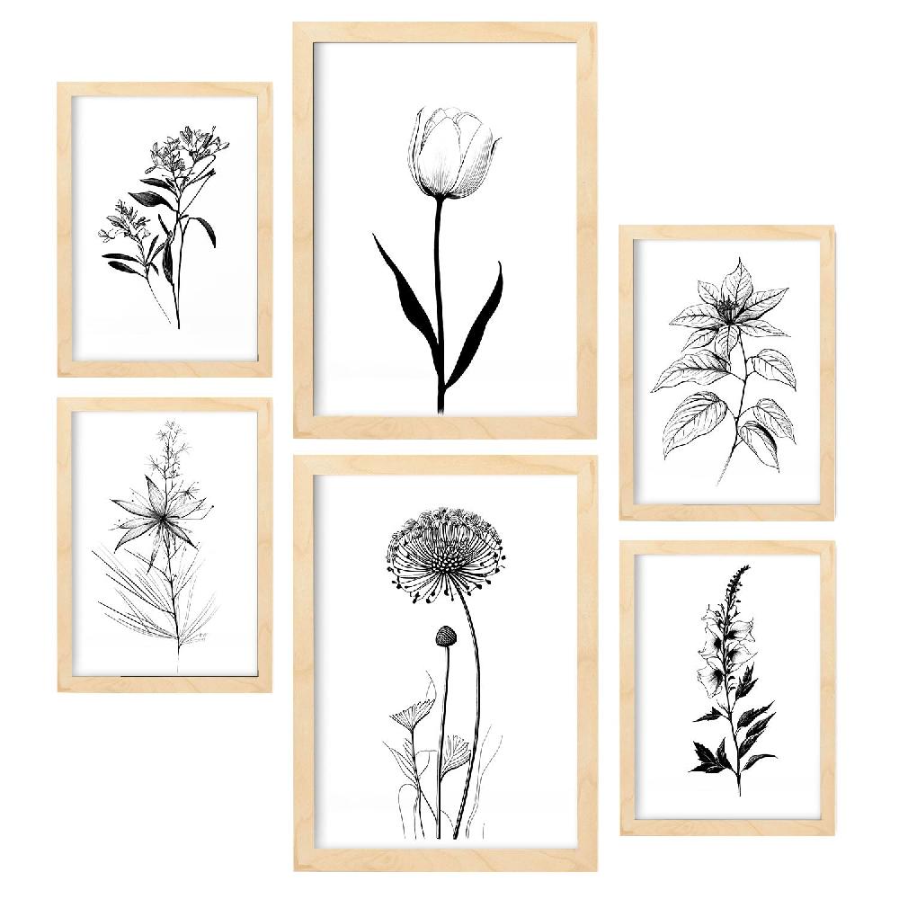 Nacnic Nacnic Láminas De Flores Estéticas Lineales Set_2