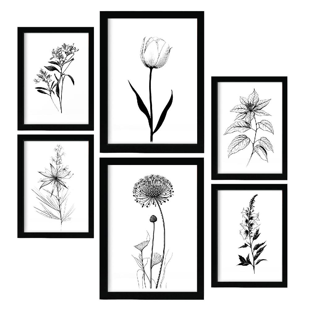 nacnic Nacnic Láminas de Flores Estéticas Lineales Set_2