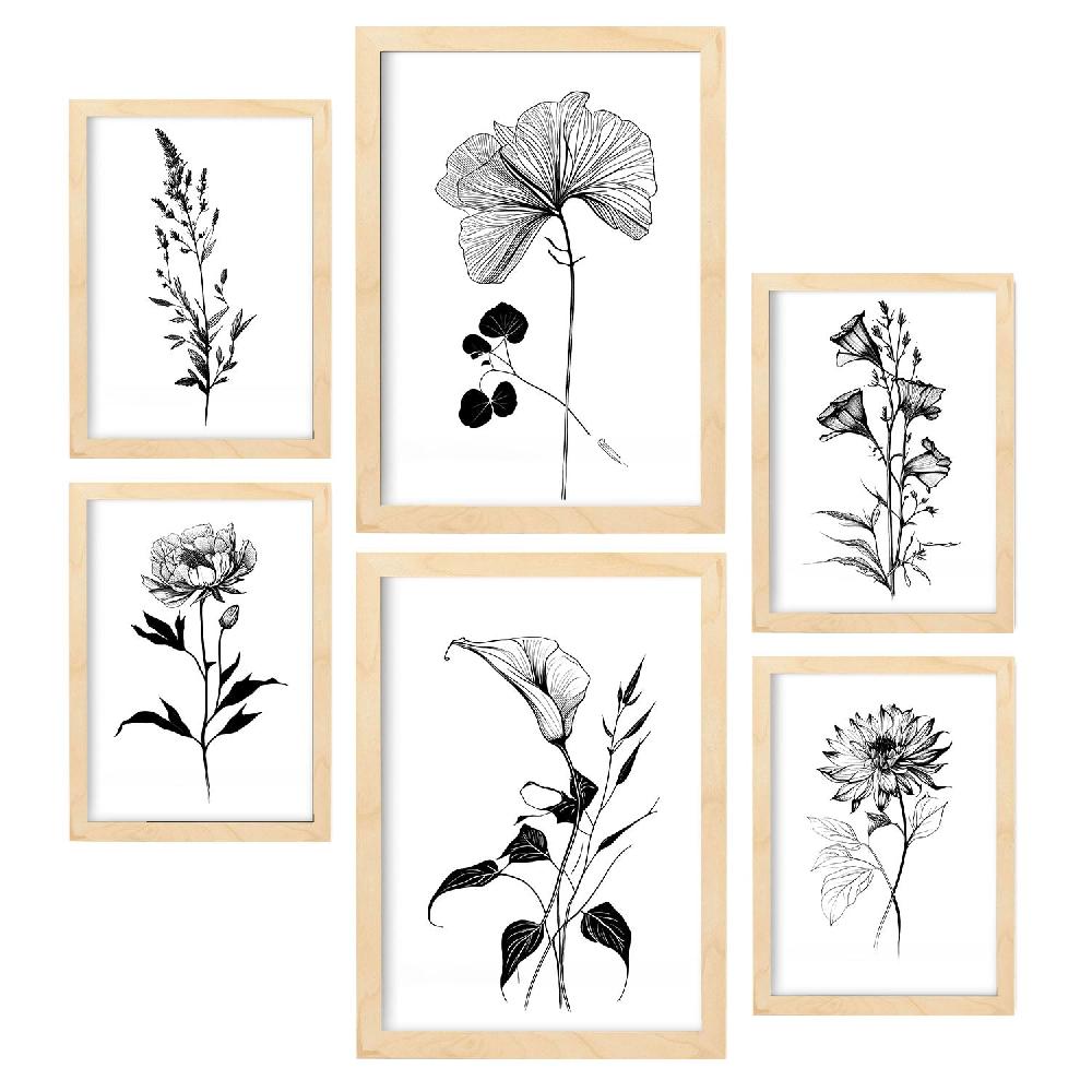 Nacnic Láminas De Flores Estéticas Nacnic Set_4