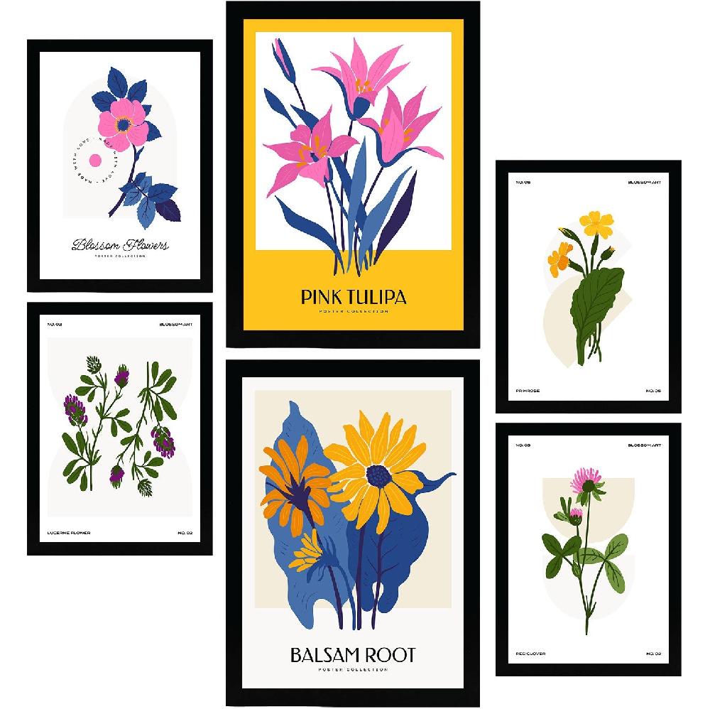 nacnic Laminas de Flores Silvestres y Botánica