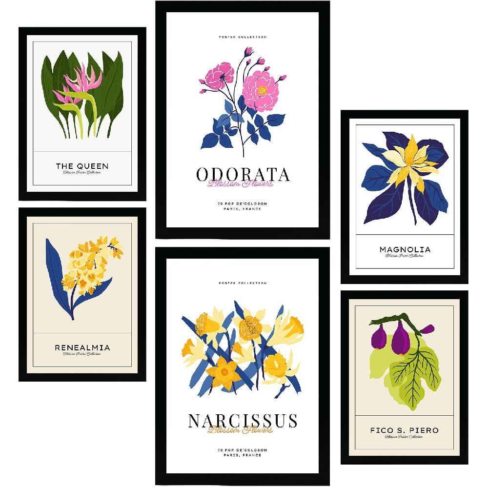 nacnic Laminas de Narcisos y Botánica