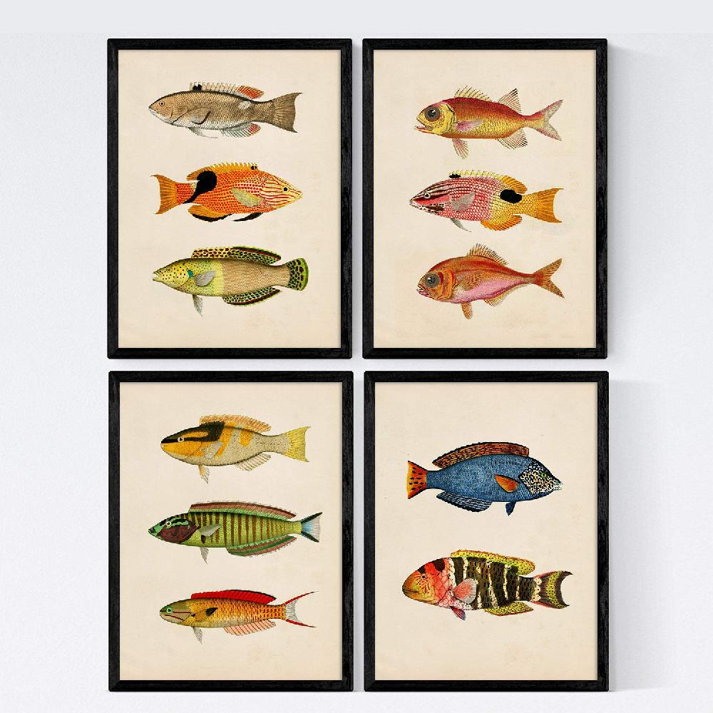 nacnic Láminas de Peces Coloridos Vintage - Set de 4