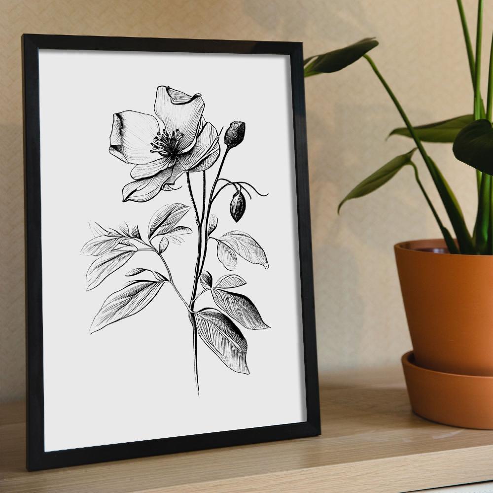 Nacnic Nacnic Laminas Minimalistas De Hellebore En Arte Lineal