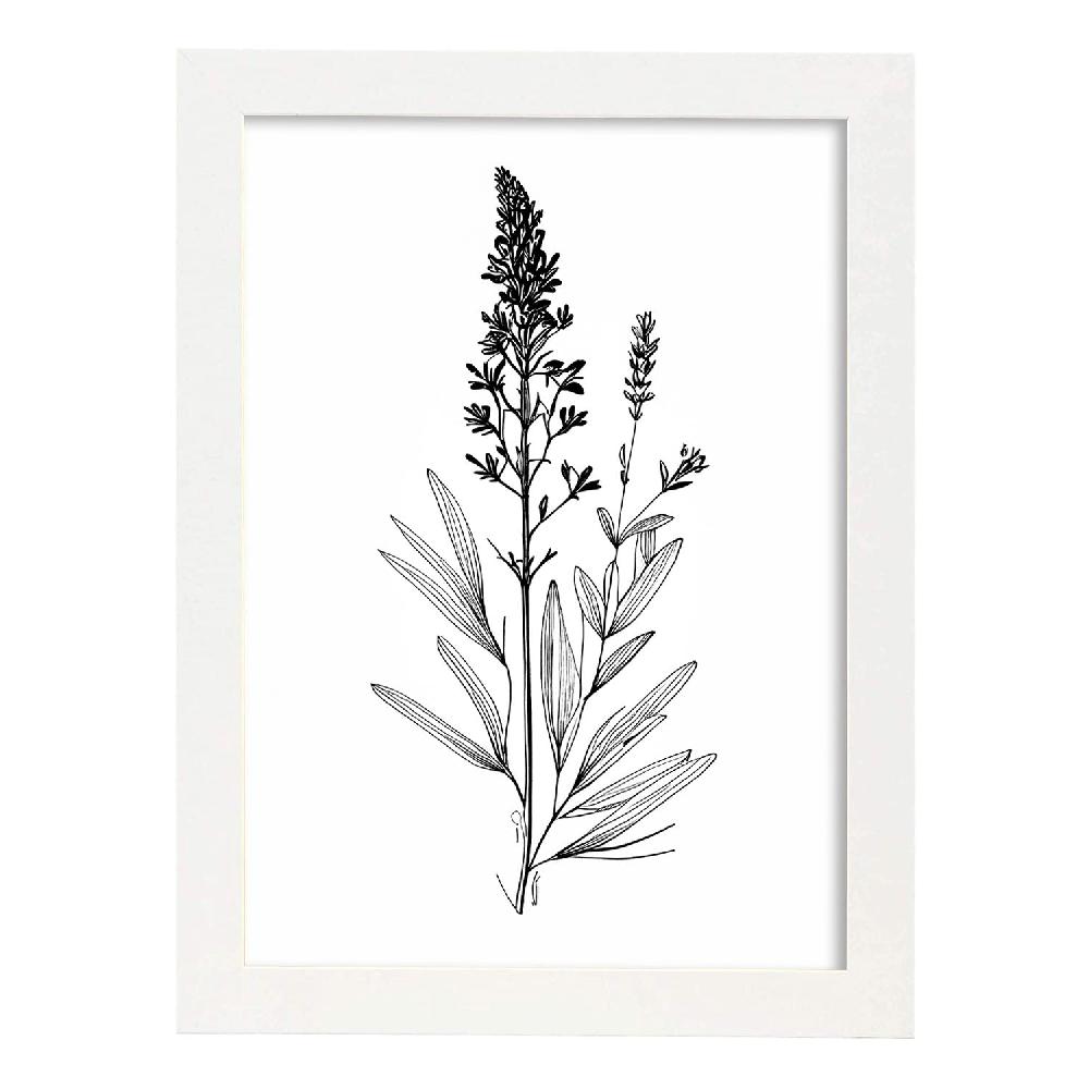 Nacnic Laminas Minimalistas De Lavanda Nacnic