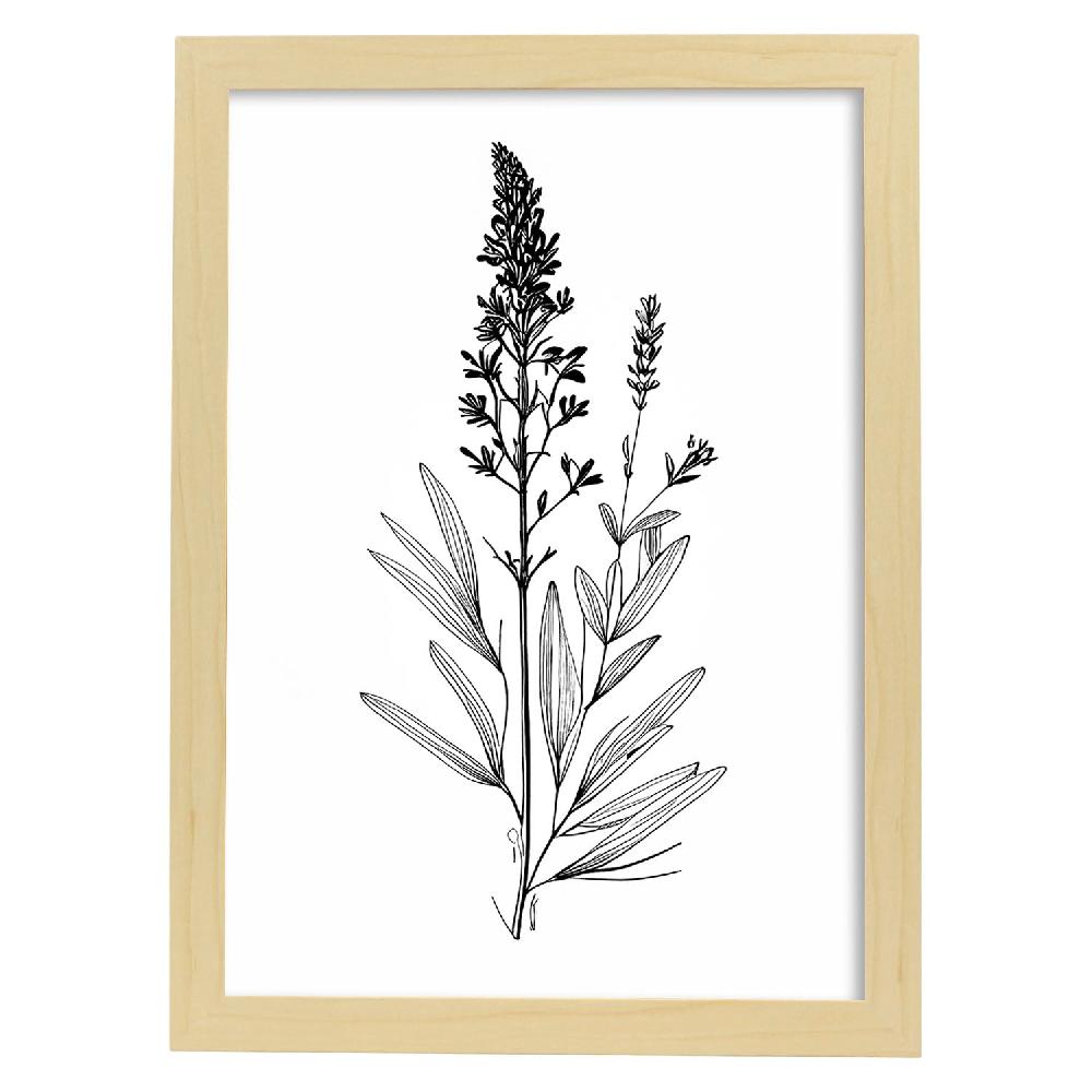 Nacnic Laminas Minimalistas De Lavanda Nacnic