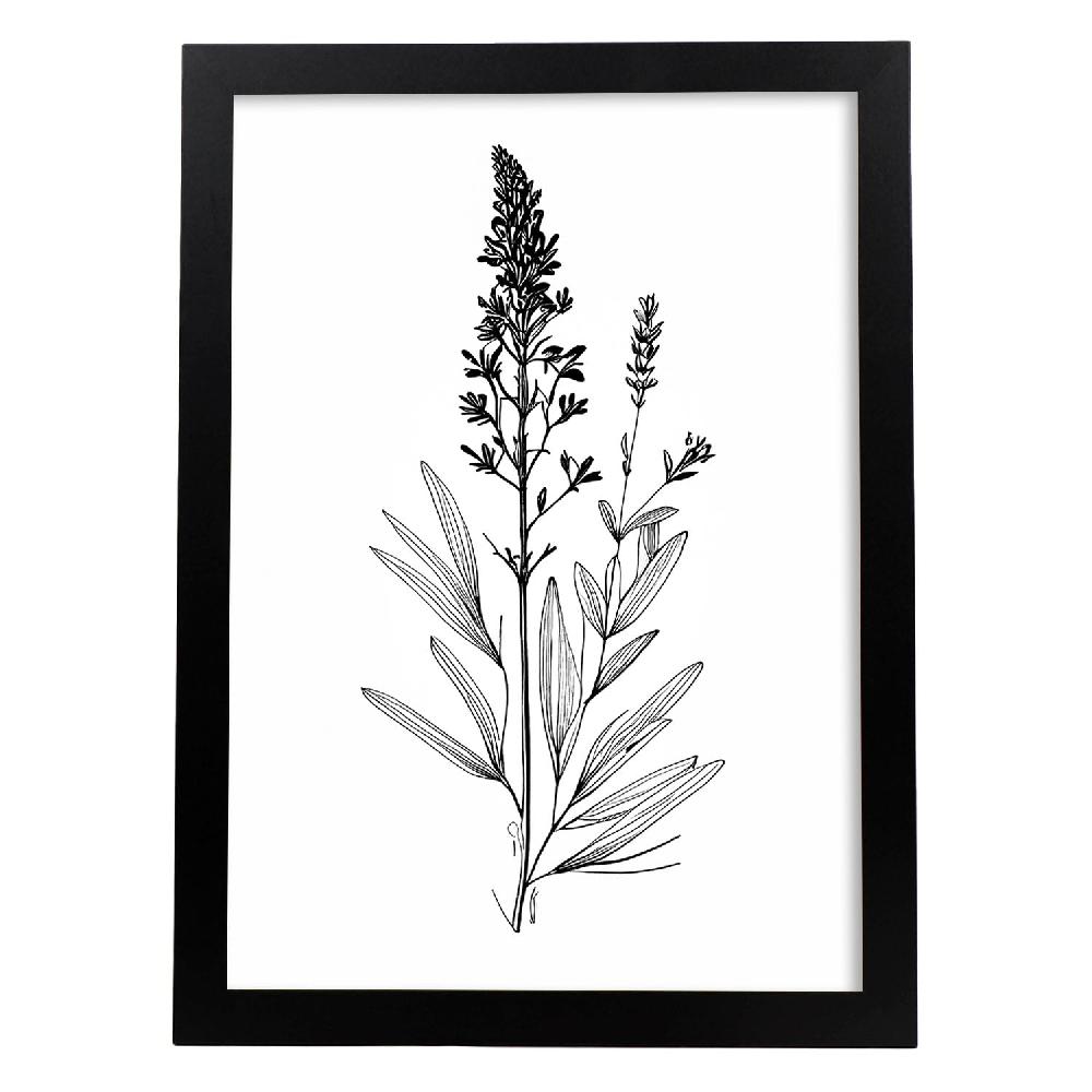 nacnic Laminas Minimalistas de Lavanda Nacnic