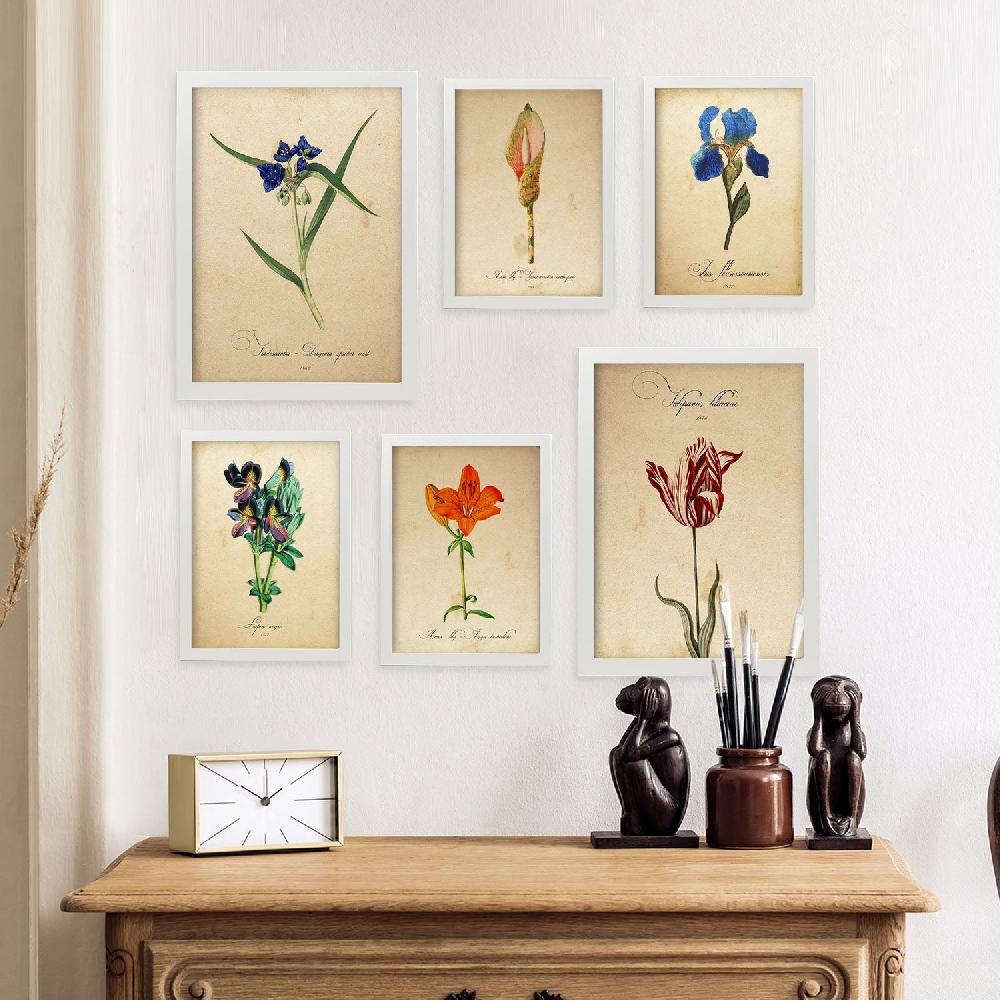 Nacnic Láminas Nacnic Botanica Azul Rojo