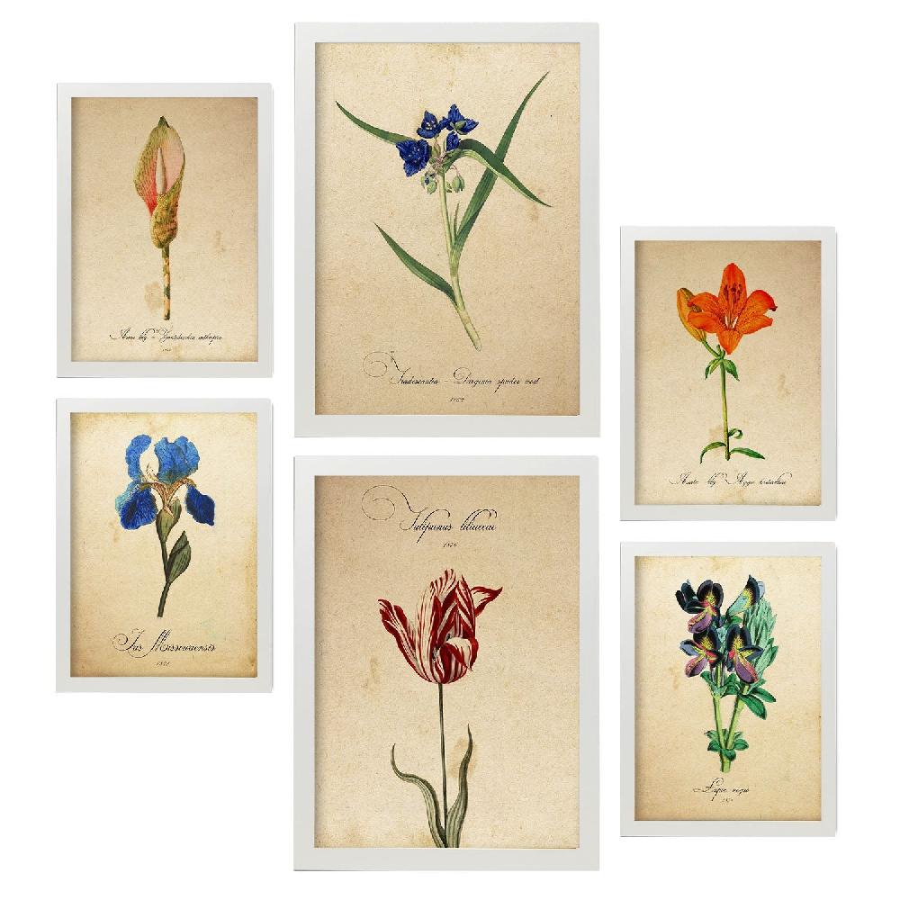 Nacnic Láminas Nacnic Botanica Azul Rojo