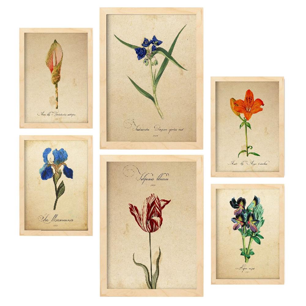 Nacnic Láminas Nacnic Botanica Azul Rojo