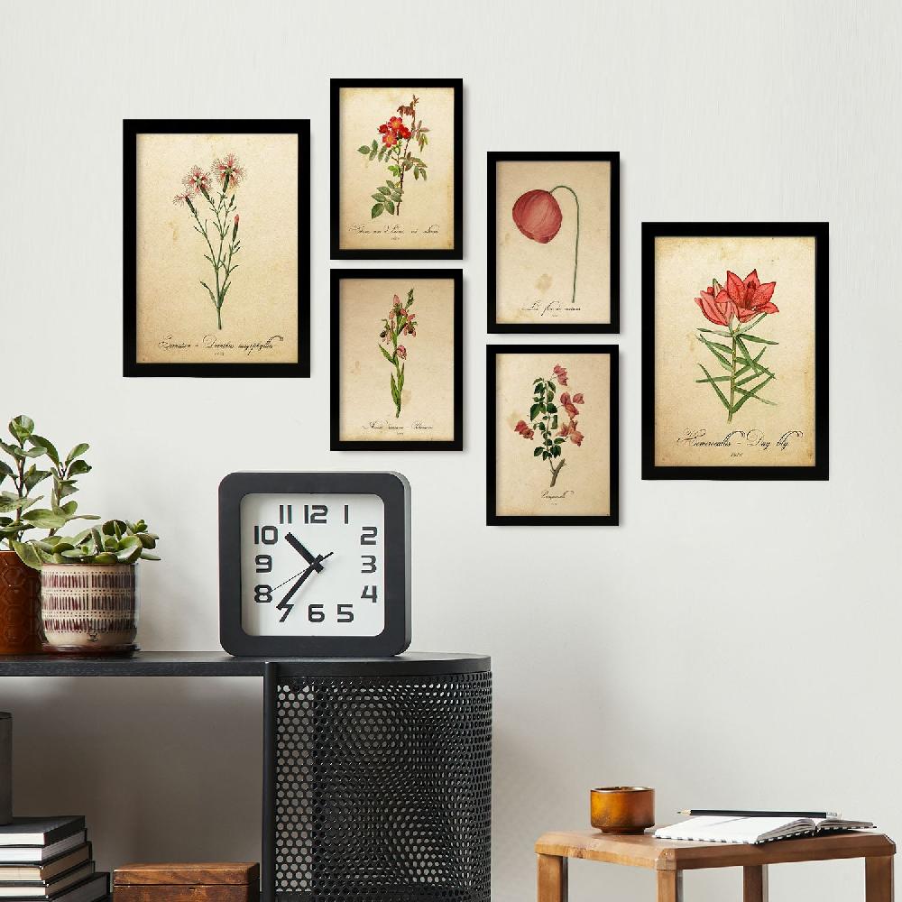 Nacnic Laminas Nacnic Botanica Rosas Aestética