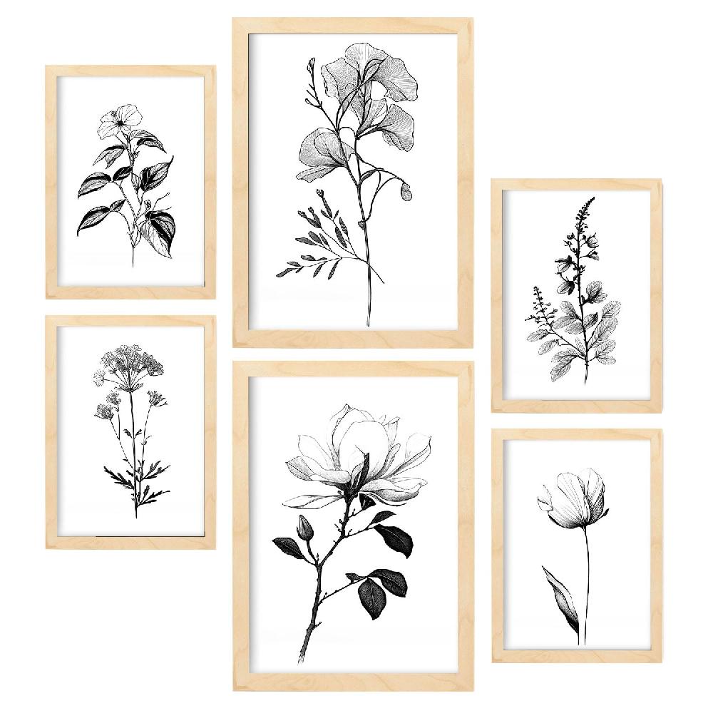 Nacnic Laminas Nacnic De Flores Lineales Set_5