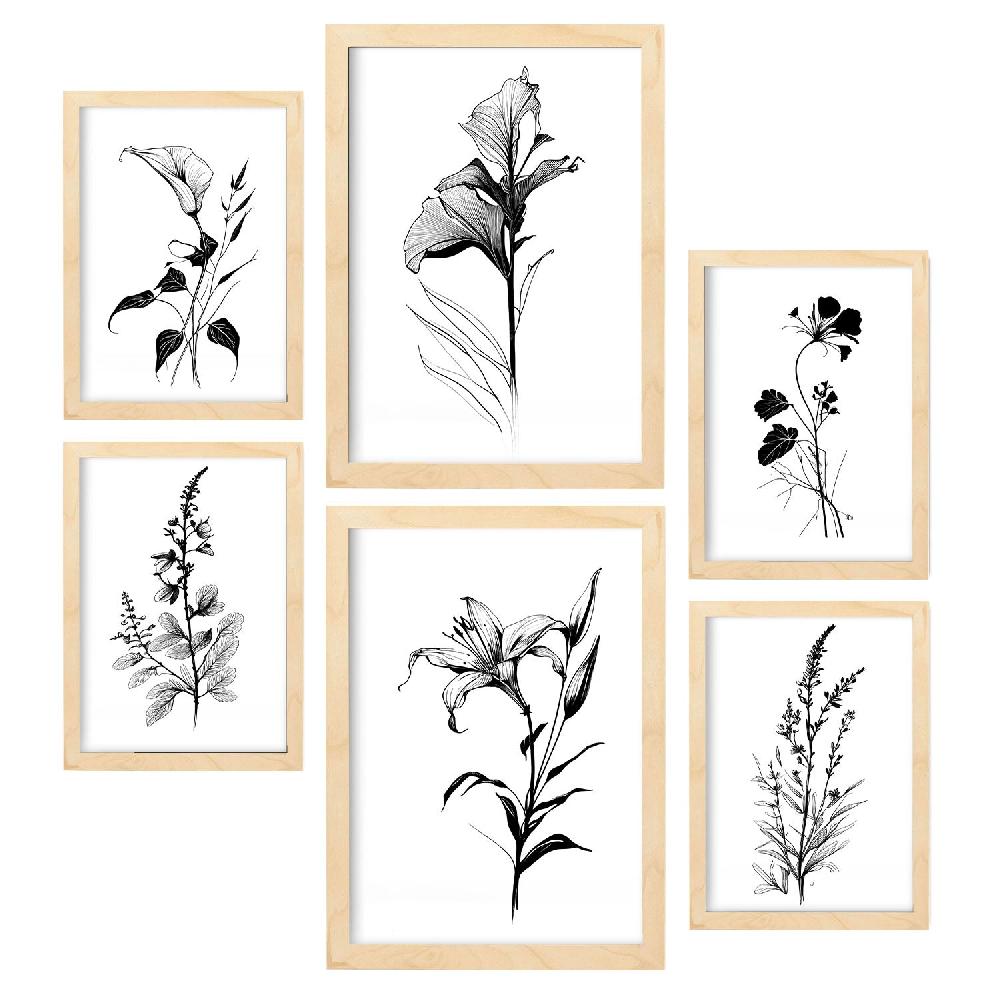 Nacnic Láminas Nacnic Line Flowers Set_1