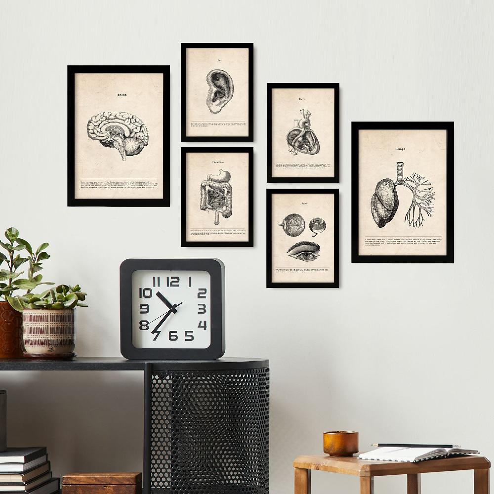 Nacnic Láminas Nacnic Organos Para Dormitorio