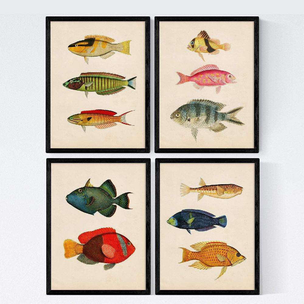 nacnic Láminas Vintage de Peces Coloridos - Set de 4