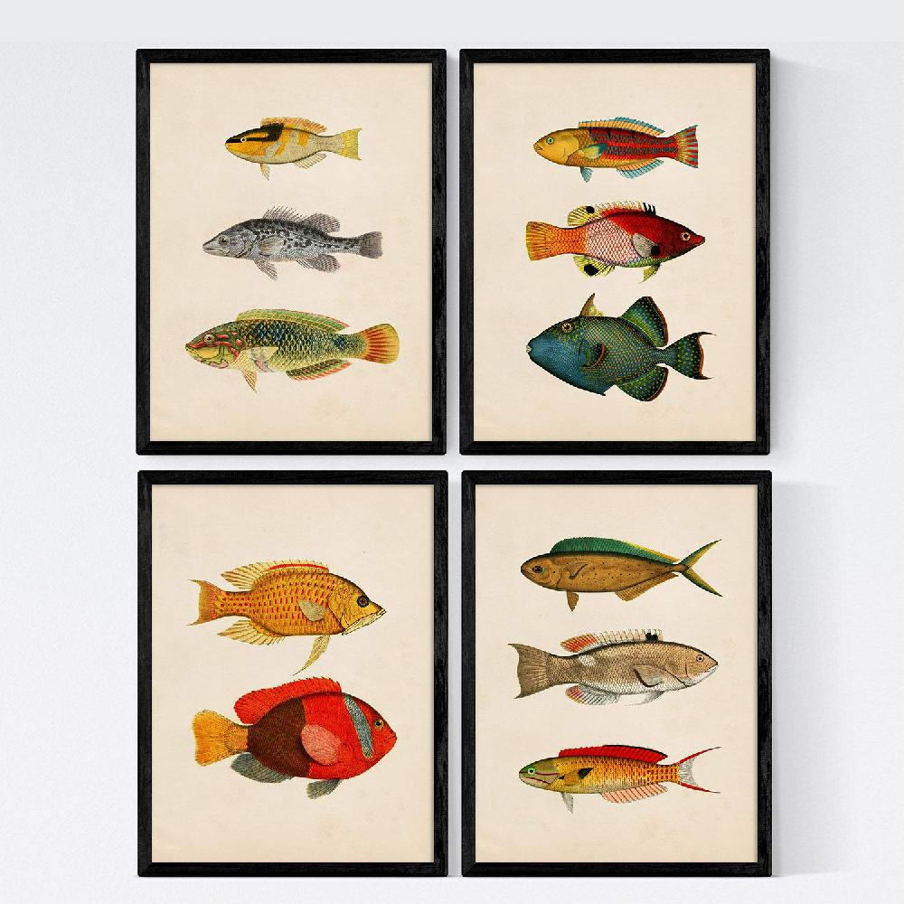 nacnic Láminas Vintage de Peces Coloridos - Set de 4