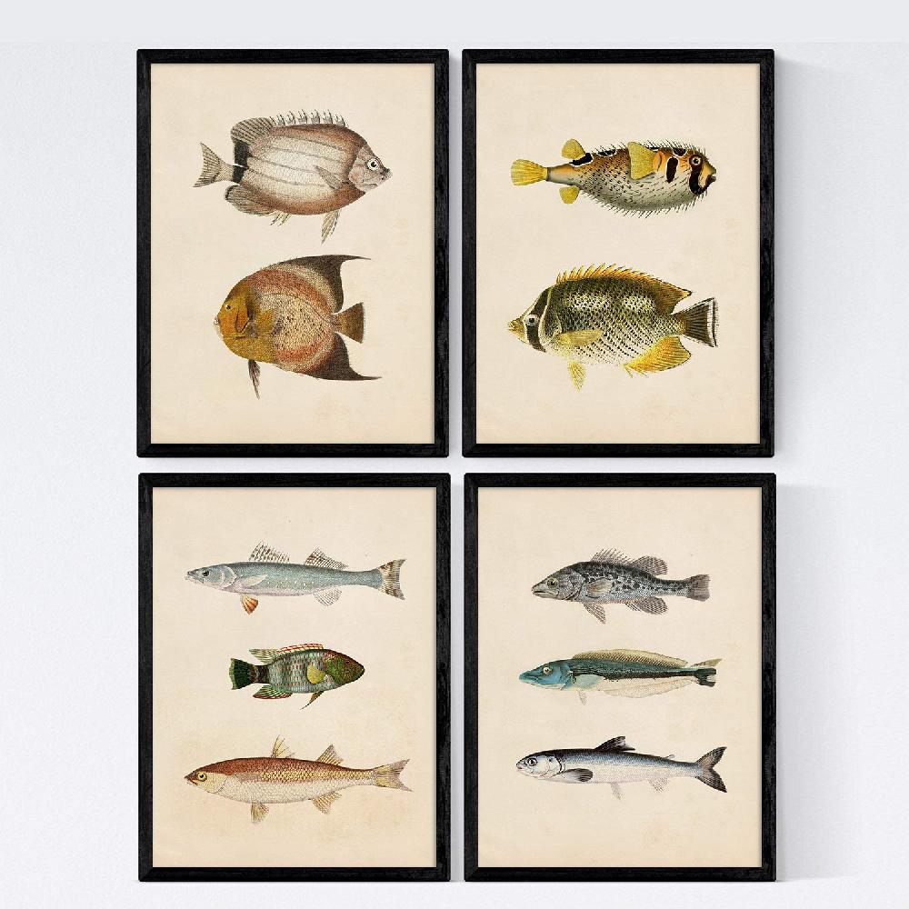 nacnic Láminas Vintage de Peces Coloridos - Set de 4