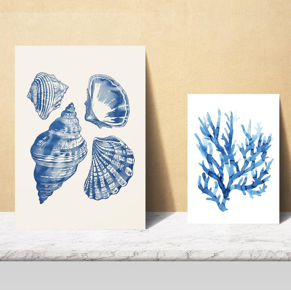 Nacnic Marino Azul Mar Verano