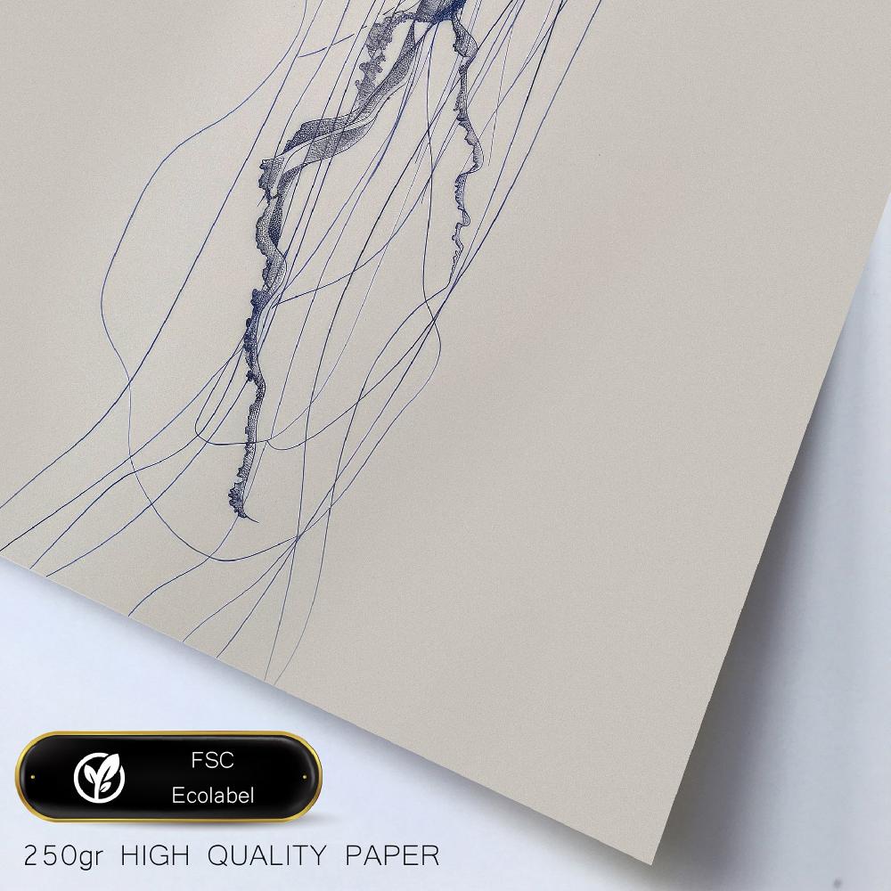 Nacnic Marino Azul Mar Y Verano