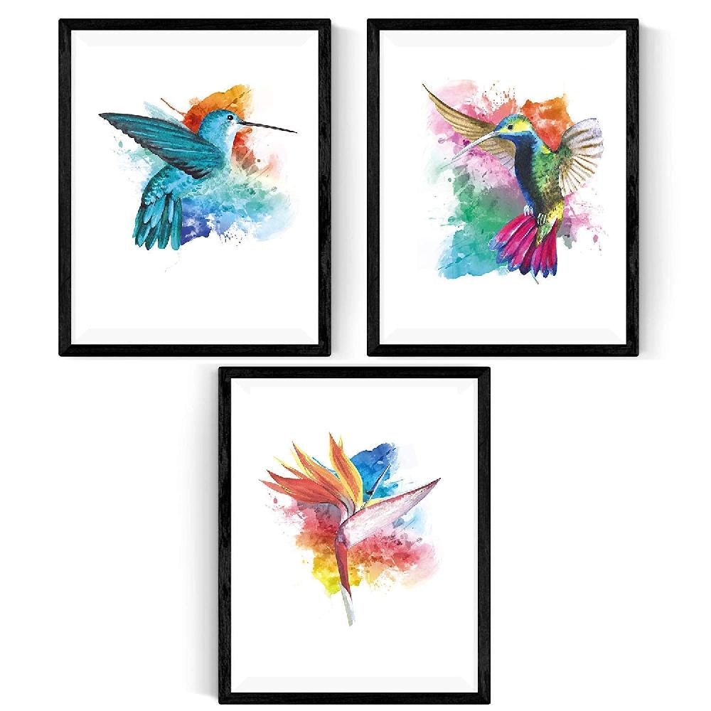 Nacnic Pack De 3 Láminas Acuarela De Pájaros